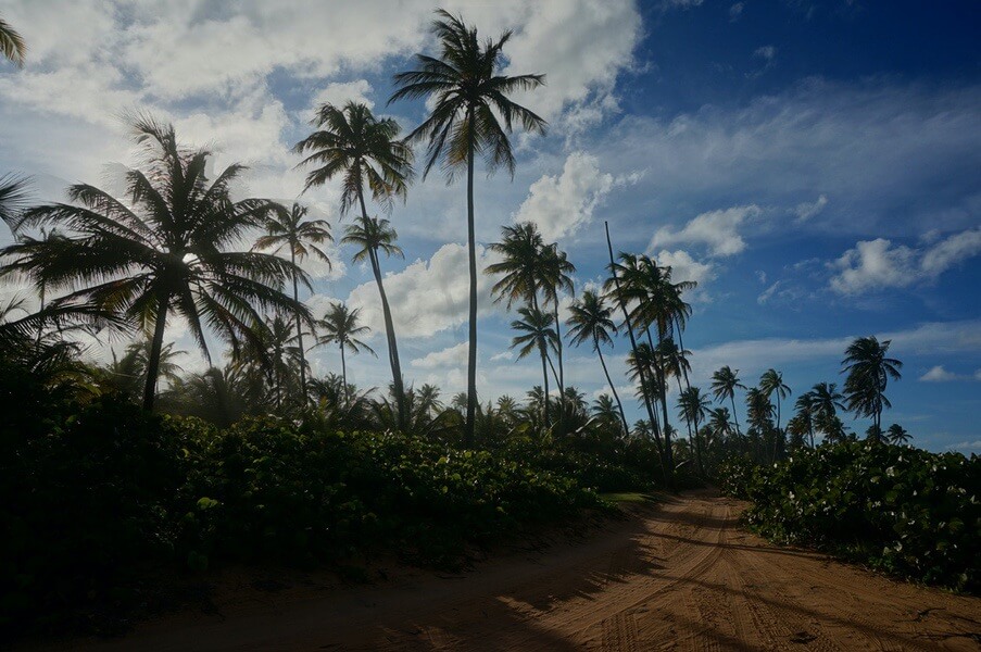 Photo of Pinones Shoreline in Puerto Rico